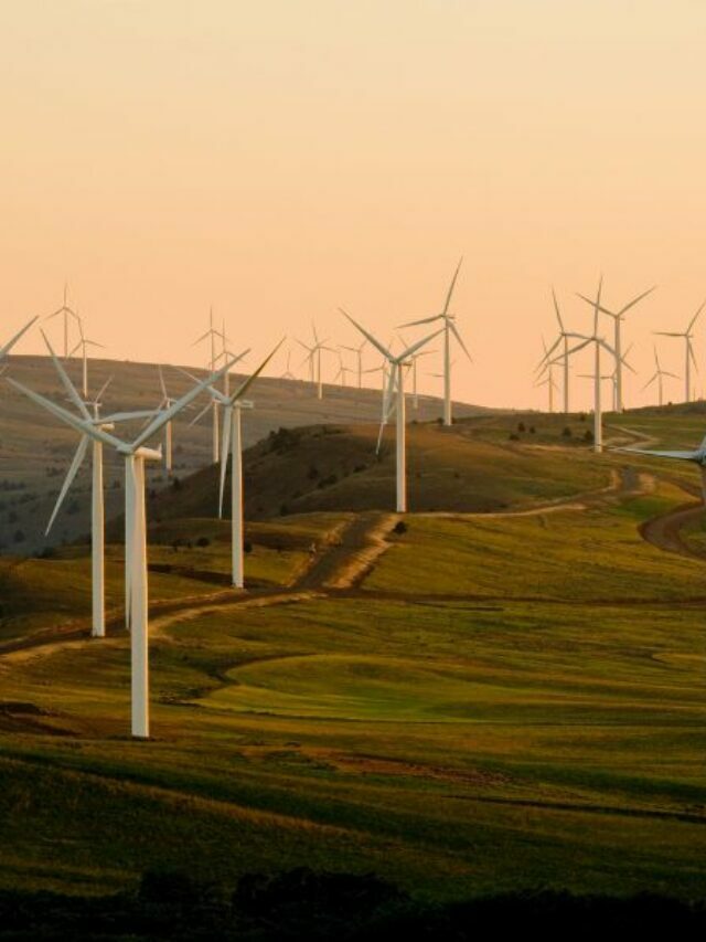 Energia verde: Brasil é destaque no mercado de energia renovável